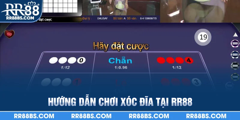 Xóc Đĩa RR88 - Mẹo Và Chiến Thuật Dân Gian Từ Cao Thủ 2025 2 Hướng dẫn chơi xóc đĩa tại RR88