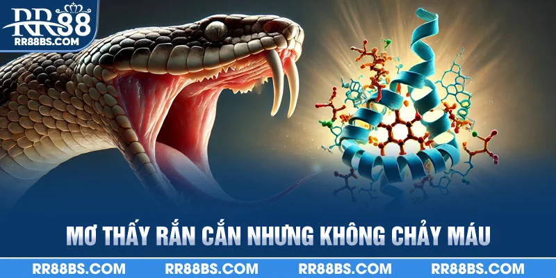 Mơ thấy rắn cắn nhưng không chảy máu