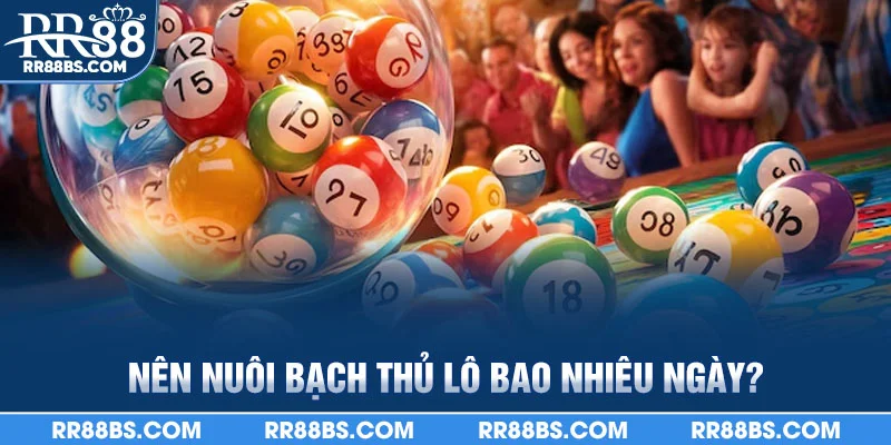 Bạch Thủ Lô Là Gì? - Chi Tiếc Cách Chơi Và Kinh Nghiệm 2025 3 Nên nuôi bạch thủ lô bao nhiêu ngày?