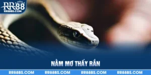 Nằm mơ thấy rắn